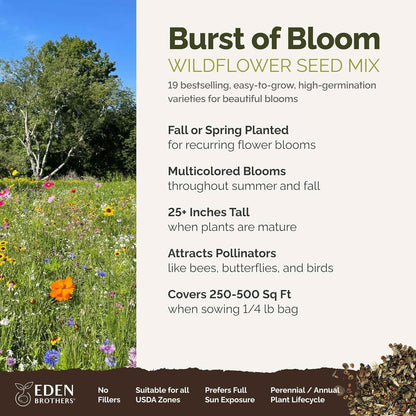Eden Brothers Burst of Bloom Wildflower Mixed Seeds for Planting, 1/4 lb, 120,000+ Seeds with Cosmos, Black Eyed Susan | Attracts Pollinators, Plant in Spring or Fall, Zones 3, 4, 5, 6, 7, 8, 9, 10