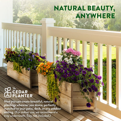 Greenes Fence Cedar Wood Planter Box, 21" x 11" x 7" (4-Pack) - Made in USA with North American Cedar