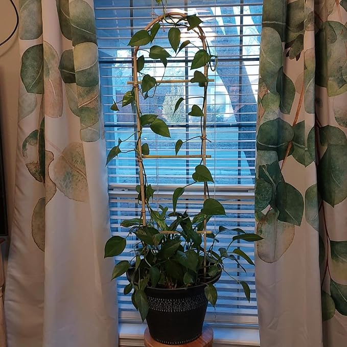 10 Pack 4ft U-Shape Bamboo Trellis for Climbing Plants, Natural Garden Trellis for Tomatoes, Cucumbers, Potted Plants, Vegetables Indoor Outdoor