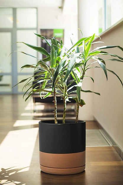 D'vine Dev 8 Inch Ceramic Planter Pot with Drainage Hole and Saucer, Indoor Cylinder Round Planter Pot, Black/Speckled Tan, 94-O-D-7