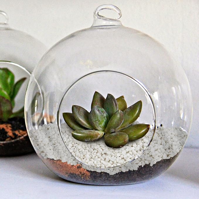 Mr. Fireglass 2lbs White Pebbles,1/5" Natural Decorative River Rocks Aquarium Gravel for Indoor Plants, Vases, Succulents and Outdoor Garden Landscaping