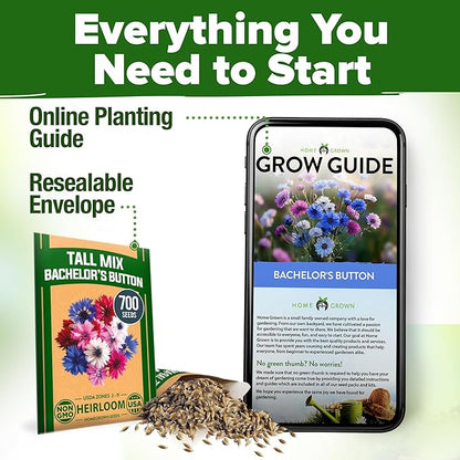 HOME GROWN Bachelor Button Flower Seeds Tall Mix – 700+ Cornflower Heirloom Seeds for Planting - Quick Blooming, Non-GMO, Pollinator Friendly, Easy to Grow Wildflowers – USA Grown (Centaurea cyanus)