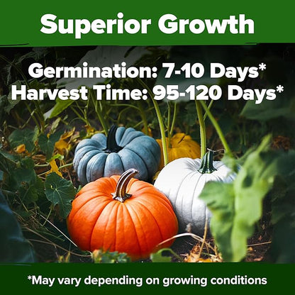 HOME GROWN 𝗨𝗦𝗔 𝗣𝗥𝗘𝗠𝗜𝗨𝗠 5 Pumpkin Seeds Mix - 40 Seeds 𝗡𝗢𝗡-𝗚𝗠𝗢 Heirloom Pumpkin for Planting Ideal Garden for Unique Varieties Yellow Paris and Casper, Culinary and Decorative Use