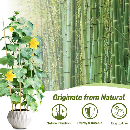 Avalution 10 Pack Bamboo Trellis for Climbing Plants, 4 FT Garden Ladder Trellis for Potted Plants Indoor, Fan-Shaped Small Plant Support Trellis for Houseplants Ivy Hoya Vine Monstera