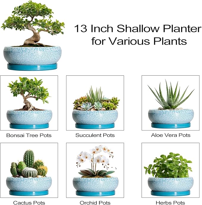 Bonsai Pots - 13 Inch Ceramic Succulent Pots with Drainage Hole and Tray, Large Succulent Planter Indoor Outdoor, Round Planter, Shallow Plant Pot, House Decor, Gifts for Plant Lover, Blue