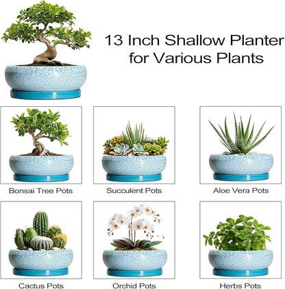 Bonsai Pots - 13 Inch Ceramic Succulent Pots with Drainage Hole and Tray, Large Succulent Planter Indoor Outdoor, Round Planter, Shallow Plant Pot, House Decor, Gifts for Plant Lover, Blue