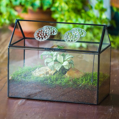NCYP Glass Terrarium with Lid and Air Holes for Snails, Succulents Plants, Small Cactus - 10.2" x 5.9" x 8.2" House Shape Geometric Clear Box, Indoor Tabletop Decor Black (Terrarium Only)