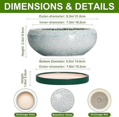 Bonsai Tree Pots - 8 Inch Ceramic Succulent Pot with Drainage Hole and Tray, Bonsai Pots, Shallow Planters for Indoor Outdoor, Round Planter Bowl, House Decor, Gifts for Plant Lovers, Green