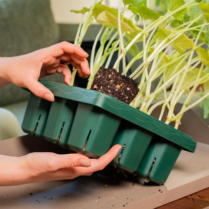 Vego garden Giga Seedling Trays - 2 Pack, 9-Cell UV-Resistant Reusable Starter Trays for Greenhouse/Garden (No Lids)