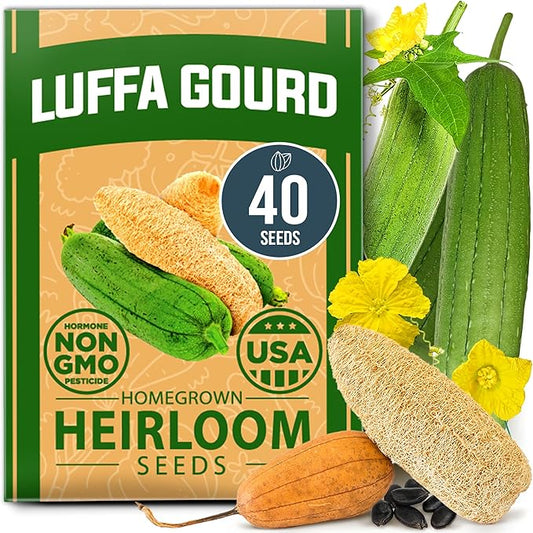 HOME GROWN 𝗨𝗦𝗔 𝗣𝗥𝗘𝗠𝗜𝗨𝗠 Luffa Seeds (Luffa aegyptiaca) 40 Heirloom 𝗡𝗢𝗡-𝗚𝗠𝗢 Loofah Gourd Seeds for Planting High Germination Rate - Make Sponges or Harvest Young Loofahs for Eating
