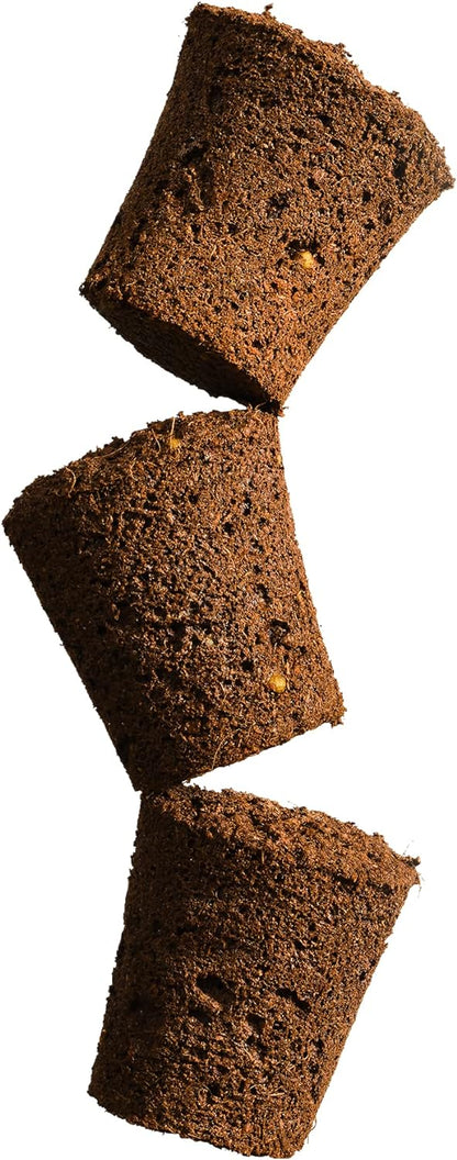 Grow Your Own Seed Pod - Complete Seed Pod Plugs with Plant Food (add Your own Seeds) - 10 Pods for Hydroponic Gardens, Click and Grow, Lettuce Grow and Outdoor Gardens