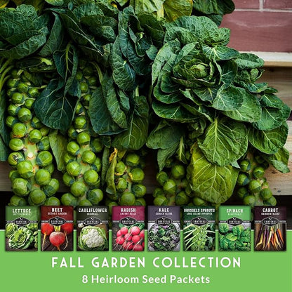 Fall & Winter Vegetable Seed Collection – 8 Packs of Non-GMO Heirloom Seeds for Planting Vegetables | Autumn & Indoor Gardening Seed Pack – Survival Garden Seeds