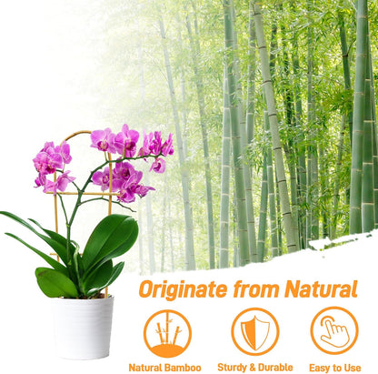 Avalution 10 Pack Bamboo U Trellis for Climbing Plants, 2ft Garden Ladder Trellis for Potted Plants Indoor, Ladder Small Plant Support Trellis for Houseplants Ivy Hoya Vine Monstera