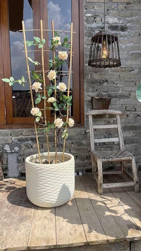 Natural Bamboo Trellis, 4Feet,6Pack,Fan-Shaped Plant Support Trellis for Outdoor and Indoor Potted Climbing Plants,Vegetables, Cucumber, Tomato, Hoya, Wisteria,Ivy,Orchid, Jasmine Monstera, Vine,