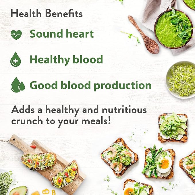 HOME GROWN Alfalfa Sprouting Seeds - Non-GMO USA-Sourced Heirloom Bulk Sprout Seed for Microgreens - Premium Organic Alfalfa Seeds for Sprouting - Indoor Growing Kit - 8 OZ