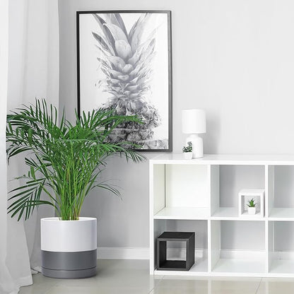 D'vine Dev Set of 2 Plants Pots, 10 Inch Ceramic Planter Pot for Plants with Drainage Hole and Saucer, White/Speckled Grey, 94-V-E-6