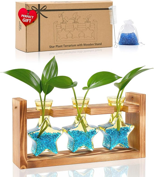Nacome Star Glass Propagation Stations: Plant Terrarium with Wooden Stand Vase for Home Office Desk Decor, Unique Gifts for Plant Lovers Women Mom (Yellow)