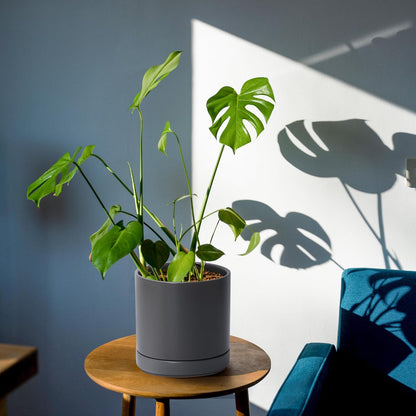 D'vine Dev 3 Inch & 4 Inch & 6 Inch, Set of 3 Round Ceramic Planter Pot with Drainage Hole and Saucer, Grey, 94-T-S-3