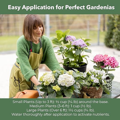 Slow Release Hydrangea Fertilizer with Iron & Sulfur – Indoor & Outdoor Soil Acidifier for Miracle Growth (2 qt)