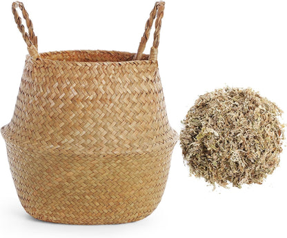 1 Pack Large Wicker Plant Basket with Handle 10 Inch Woven Seagrass Belly Basket and Artificial Moss for Plants Picnic Grocery Laundry House Storage Home Decor (Large)