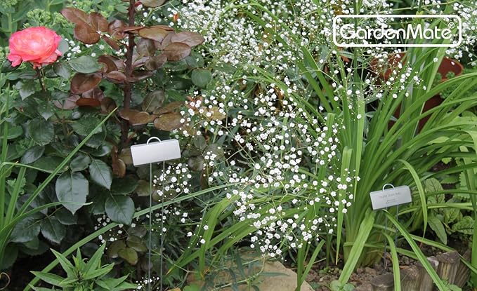 GardenMate 100-Pack Weatherproof Large Zinc Metal Plant Labels, Height 11.5", Label Area 3 1/2 x 1 1/4"