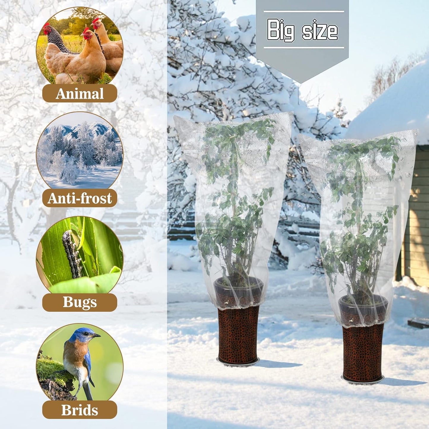 ANPHSIN 6 Pcs Winter Plant Film Cover with Drawstring - 35.4" x 59" Plastic Plant Cover Freeze Protection Transparent Waterproof Plant Shelter Bag for Outdoors Garden Plants Shrubs Sapling Crops
