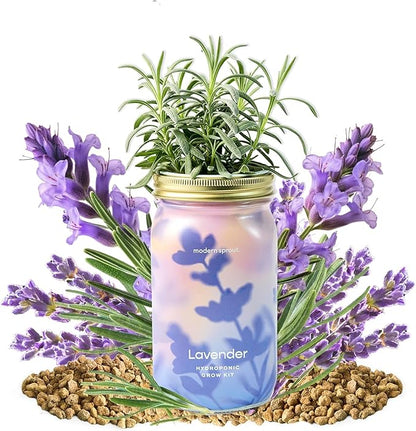 Modern Sprout Mason Garden Jar + Replant Kit - Self-Watering Hydroponics Growing System Kit w/Organic Herb Seeds - Jar Planter for Indoor Herb Garden - Seed Starter - Home Decor Gifting - Lavender