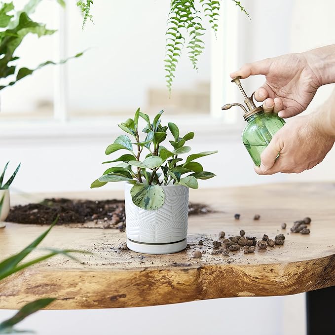 D'vine Dev Set of 2 Modern Matte White Floral Embossed Ceramic Planter Pot with Saucer and Drainage Hole, 4 Inch & 6 Inch, 99-C-1-M