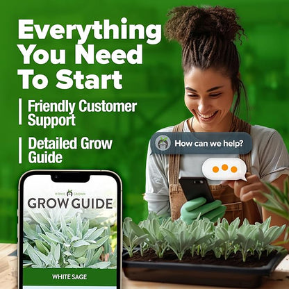 HOME GROWN 𝗨𝗦𝗔 𝗣𝗥𝗘𝗠𝗜𝗨𝗠 White Sage Seeds 323 Pack 𝗡𝗢𝗡-𝗚𝗠𝗢 Heirloom Seeds - Grow Aromatic Sage Plants for Your Herb Seeds Garden with Sage for Planting Outdoor or Indoor (Salvia apiana)