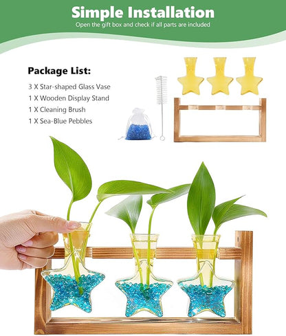 Nacome Star Glass Propagation Stations: Plant Terrarium with Wooden Stand Vase for Home Office Desk Decor, Unique Gifts for Plant Lovers Women Mom (Yellow)