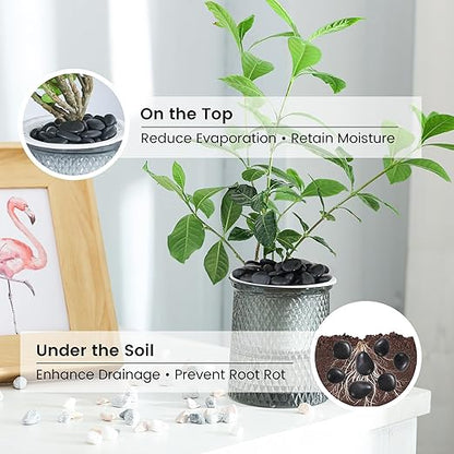 SIDONG 10 LB Black River Rocks, 0.3-0.5 Inches High Polished Pebbles for Indoor Plants, Aquarium Rocks Used in Fish Tank, Decorative Stones for Plants, Vases, Home Décor, Crafting, Garden Landscaping