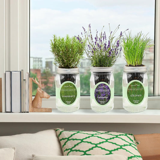 Hydroponic Herb Growing Kit Set, Self-Watering Mason Jar Herb Garden Starter Kit Indoor, Grow Your Own Herbs from Seeds (Lavender, Rosemary & Chives)