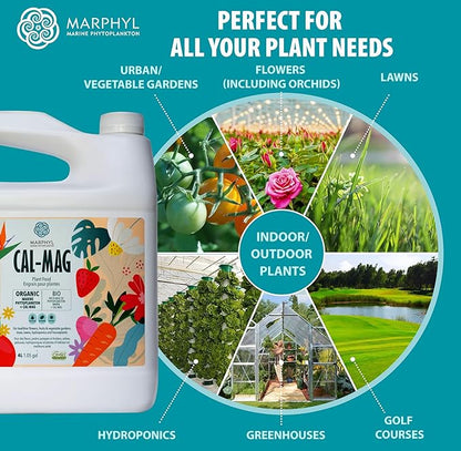 MARPHYL Organic CALMAG Liquid Fertilizer, Calcium + Magnesium, Corrects Common Plant Deficiencies, for Garden, Flowers, Vegetables, Succulents, Bamboo, Hydroponics 33.8 oz