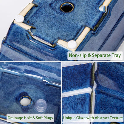 Bonsai Pots Small Shallow Succulent Planters for Live Bonsai Trees Set of 2, 7.5" Ceramic Pot for Succulents Indoor with Drainage Hole and Saucer, Outdoor Cactus Plant Bonsai Pot