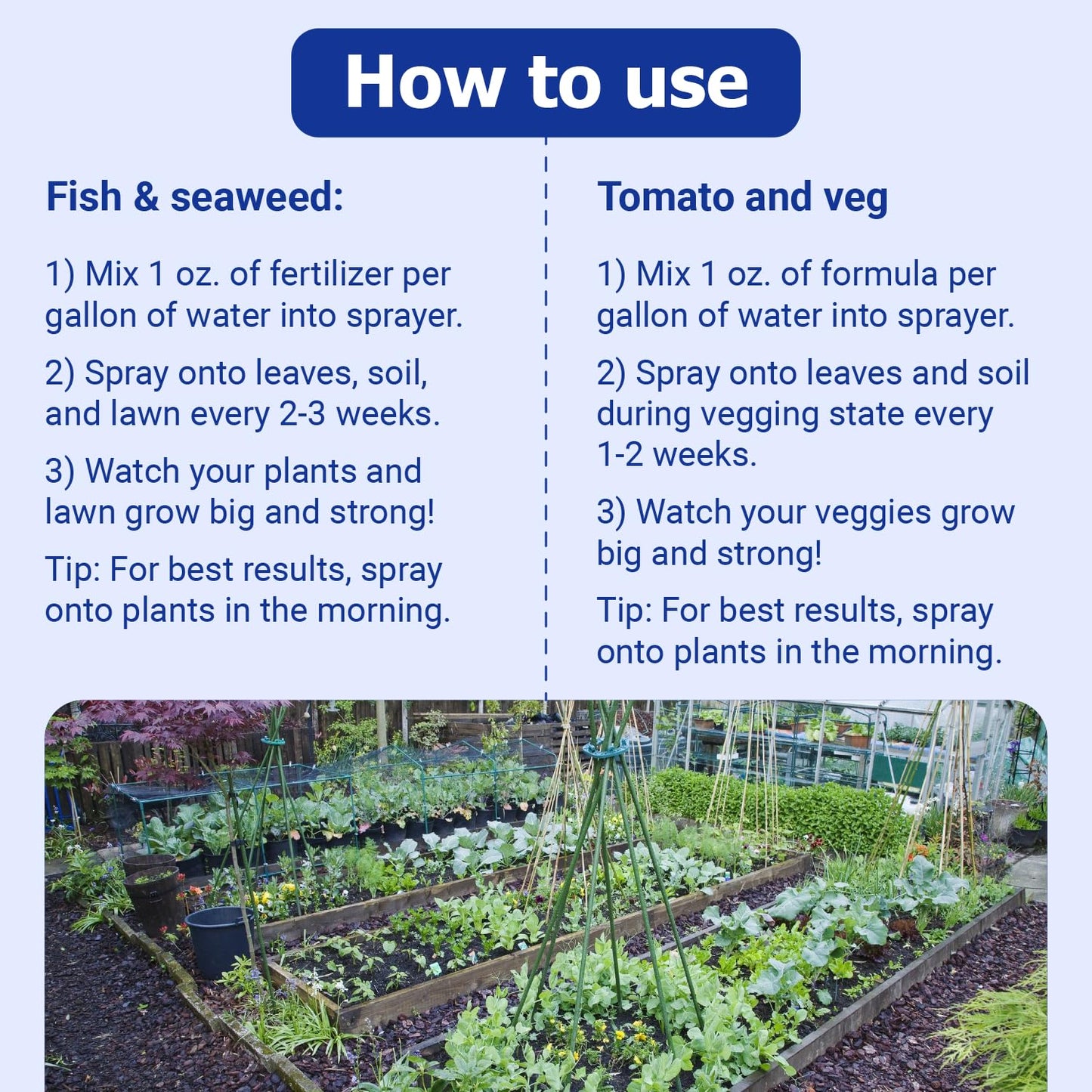 Neptune's Harvest Organic Plant Fertilizer | Liquid Fertilizer for Lawn, Garden & Houseplant | Rich in Essential Nutrients | Tomato & Veg 2-4-2 (Quart) + Fish & Seaweed Plant Food 2-3-1 (Quart)