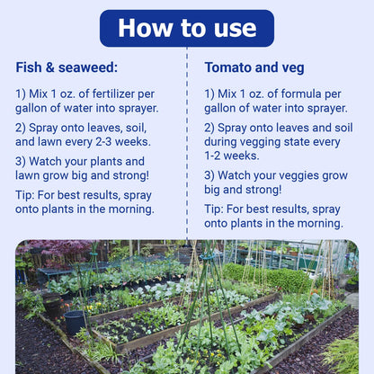 Neptune's Harvest Organic Plant Fertilizer | Liquid Fertilizer for Lawn, Garden & Houseplant | Rich in Essential Nutrients | Tomato & Veg 2-4-2 (Quart) + Fish & Seaweed Plant Food 2-3-1 (Quart)