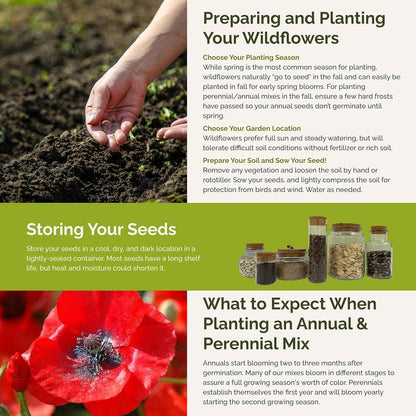 Eden Brothers Flowery Fields Forever Flower Mixed Seeds for Planting, 5 lb, 2,400,000+ Seeds with Cornflower, Candytuft | Attracts Pollinators, Plant in Spring or Fall, Zones 3, 4, 5, 6, 7, 8, 9, 10