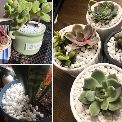 White Pebbles for Plants Garden Vases 1.8lb White Rocks Gravel Decorative Stone 1/2"……