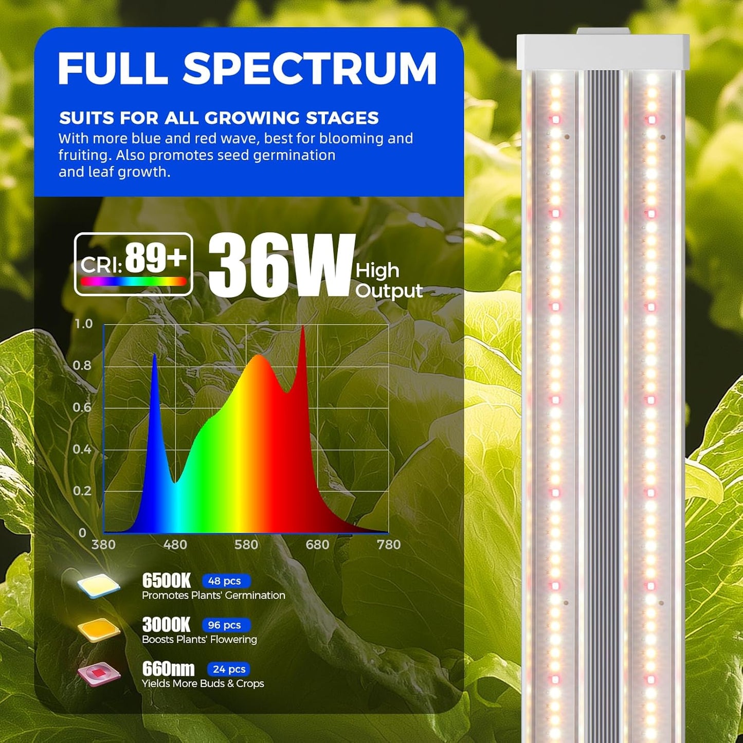 Barrina TX36 2FT Grow Light for Indoor Plants, 36W(200W Equivalent), High PPFD, Full Spectrum, Hanging Plant Lights for Indoor Growing, Seedlings, Vegetables, with On/Off Switch, Linkable, 1 Pack