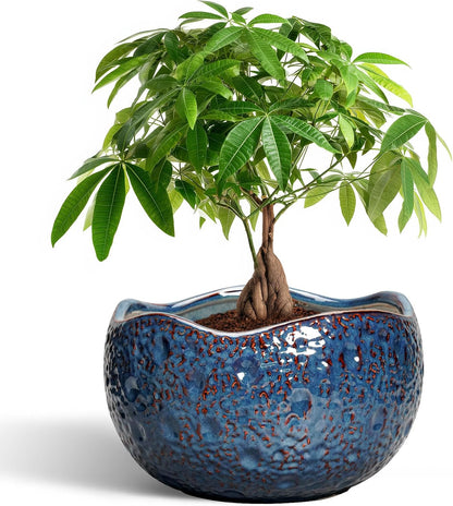 10 Inch Plant Pot - Ceramic Planter for Indoor Outdoor, Round Bonsai Pots, Decorative Flower Pots with Drainage Hole, Modern Unique Planters, House Decor, Home Gifts, Retro Blue