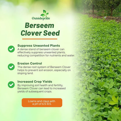 Outsidepride Annual Berseem Clover Seeds for Lawn - 10 lbs. High-Yield, Fast-Growing Clover Cover Crop Seeds for Food Plots, Cattle Forage & Nitrogen-Rich – Ideal for Pastures & Soil Improvement