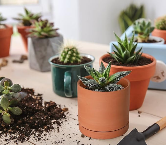 D'vine Dev X-Small 4 Inch Terracotta Plant Pot with Drainage Hole and Saucer, Round Cylinder Planter Pot for Indoor Plants, 40-X-A-1