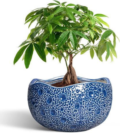 10 Inch Plant Pot - Ceramic Pots for Plants Indoor Outdoor, Round Bonsai Pots with Drainage Hole, Decorative Flower Pot, Modern Unique Planters, House Decor, Housewarming Gifts, Blue