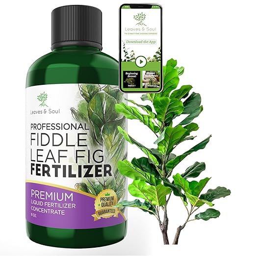 Leaves and Soul Professional Liquid Fiddle Leaf Fig Plant Fertilizer | 3-1-2 Concentrate for House Plants | 8 oz Bottle