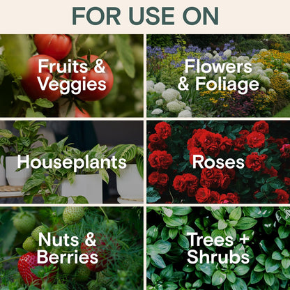 Organic Insecticide & Fungicide for Plants – Indoor & Outdoor Plant – Controls Powdery Mildew, Spider Mites, Aphids, Gnats & More – Safe Pesticide for Houseplant Insect Control, Vegetables & Lawns