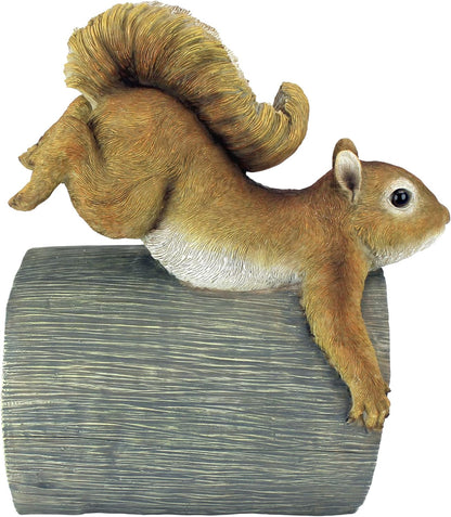 CRASH THE SQUIRREL RAIN GUTTER