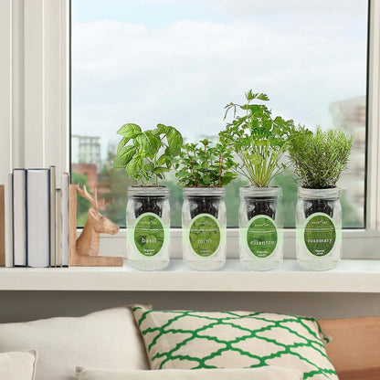 Hydroponic Herb Growing Kit Set, Self-Watering Mason Jar Herb Garden Starter Kit Indoor, Grow 4 Kinds of Herbs from Seeds (Basil, Mint, Cilantro & Rosemary)