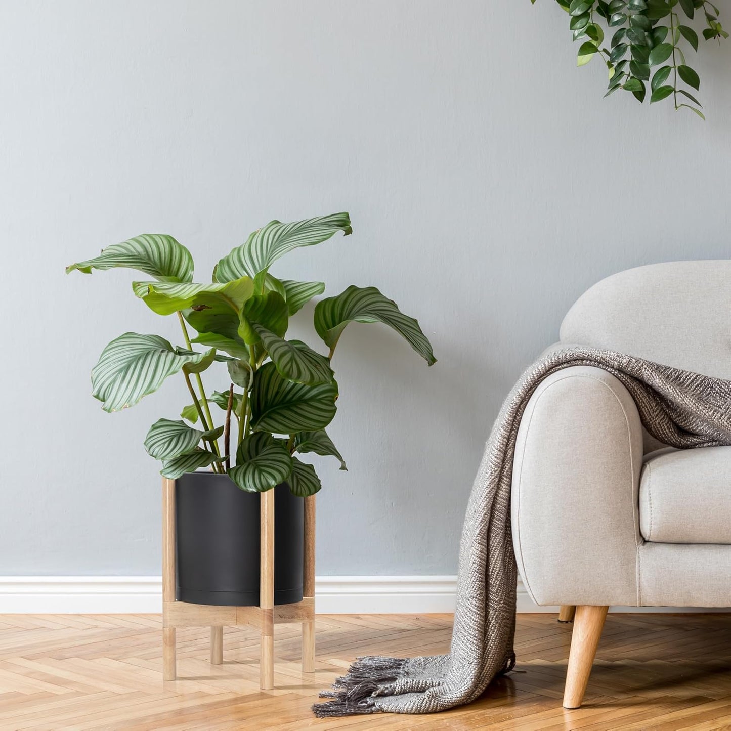 D'vine Dev Planter Pot with Stand - 10 Inch Plastic Cylinder Flower Pot with Wood Planter Holder for Indoor, Matte Black Pot + Natural Stand, 55-C-M-2