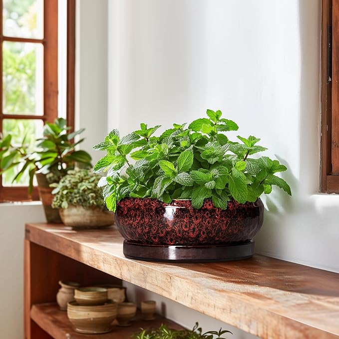 Bonsai Tree Pots - 10 Inch Ceramic Succulent Planters for Indoor Outdoor, Bonsai Pots with Drainage Hole and Saucer, Shallow Round Planter, Planter Bowl, Patio Decor, Gifts for Women, Red