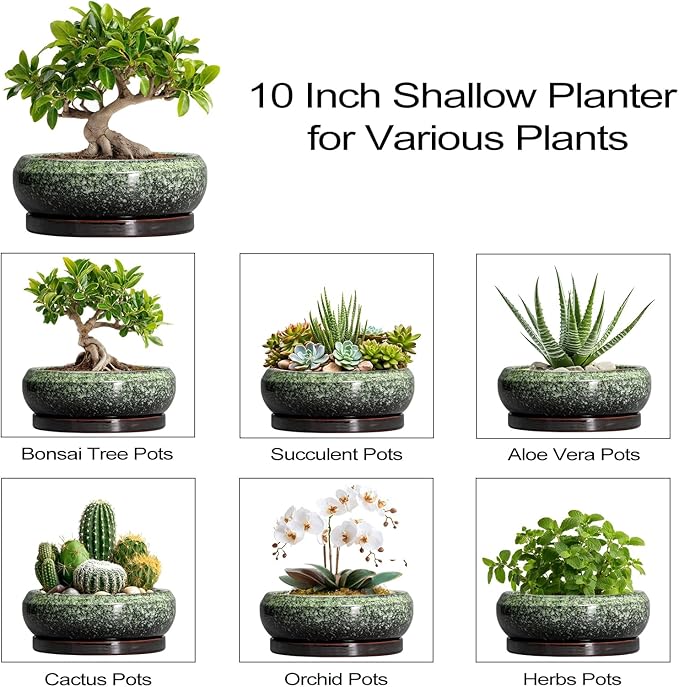 Bonsai Pots 10 Inch - Ceramic Pots for Plants Indoor Outdoor, Succulent Pot with Drainage Hole and Saucer, Large Bonsai Planter, Round Shallow Planter, Office Decor, Gardening Gift, Green